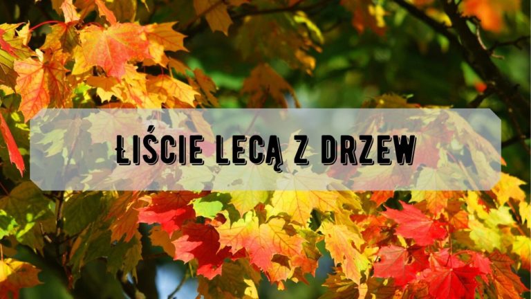 Liście lecą z drzew