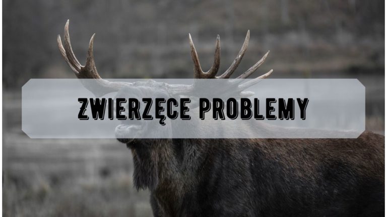Zwierzęce problemy