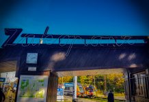 Pociąg. Pociąg w Zakopanem!