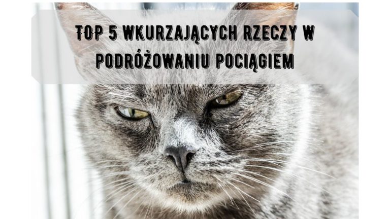 podróży pociągiem